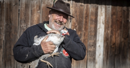 Egy darab Afrika a Hargitán
